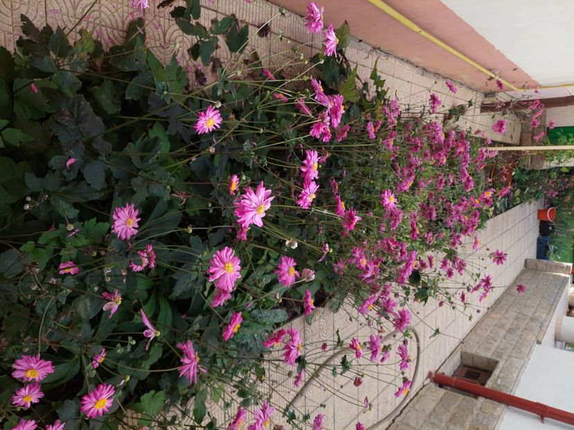  - 2024 sept oct nov dec