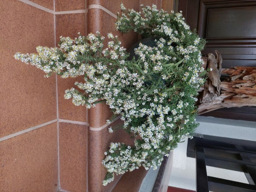  - 2024 sept oct nov dec