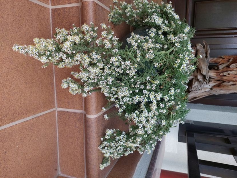  - 2024 sept oct nov dec