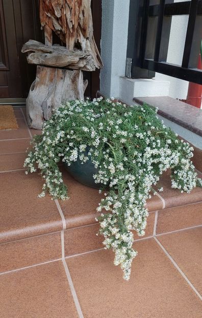  - 2024 sept oct nov dec