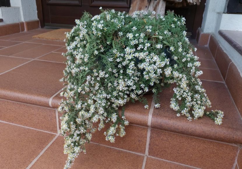  - 2024 sept oct nov dec