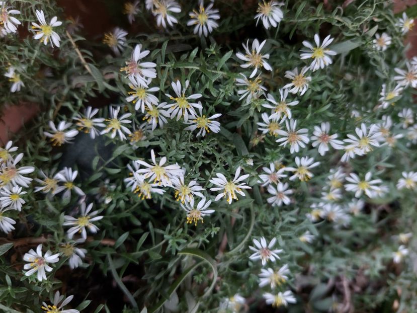  - 2024 sept oct nov dec