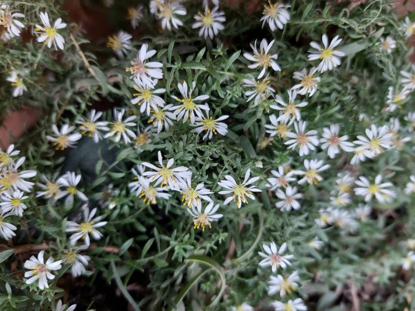  - 2024 sept oct nov dec