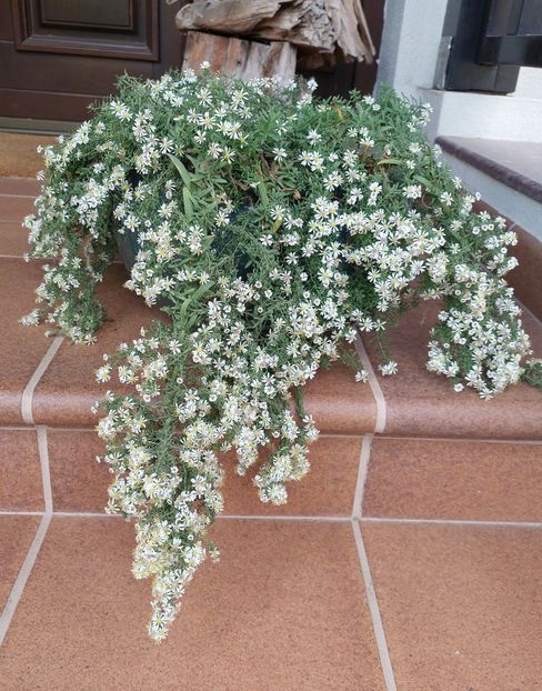  - 2024 sept oct nov dec