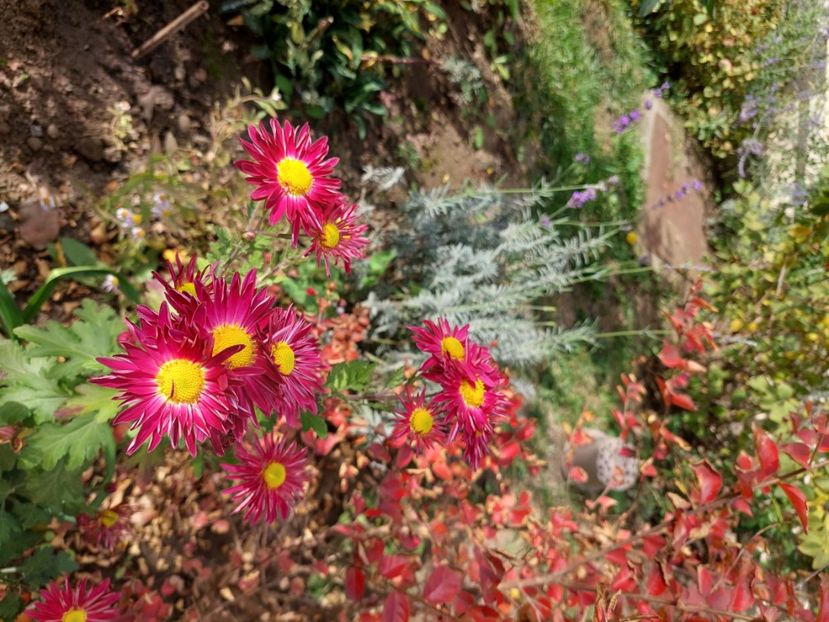  - 2024 sept oct nov dec