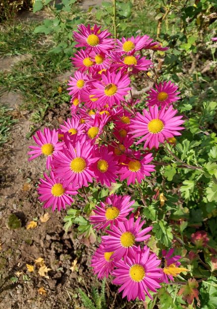  - 2024 sept oct nov dec