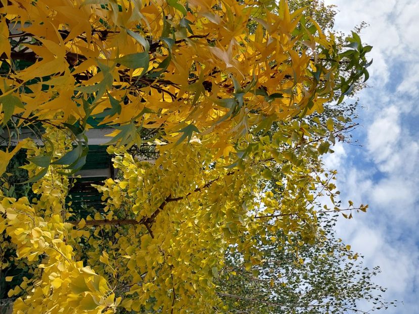  - 2024 sept oct nov dec