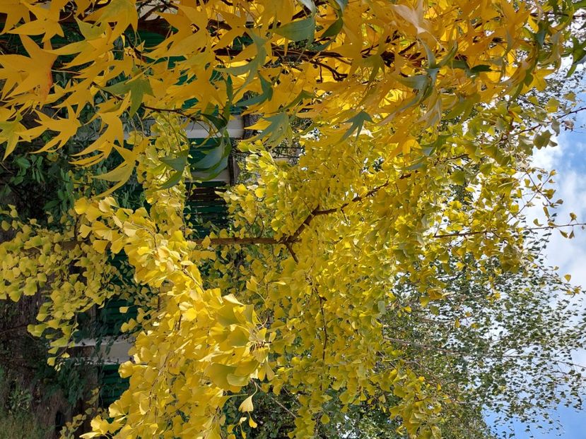  - 2024 sept oct nov dec