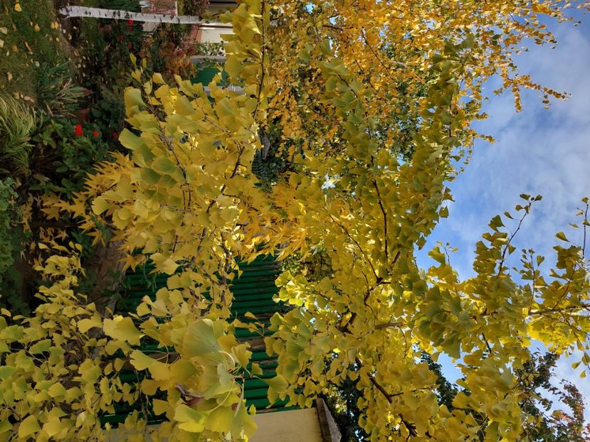  - 2024 sept oct nov dec