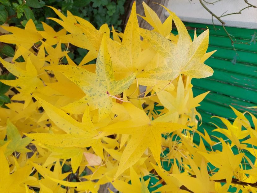  - 2024 sept oct nov dec