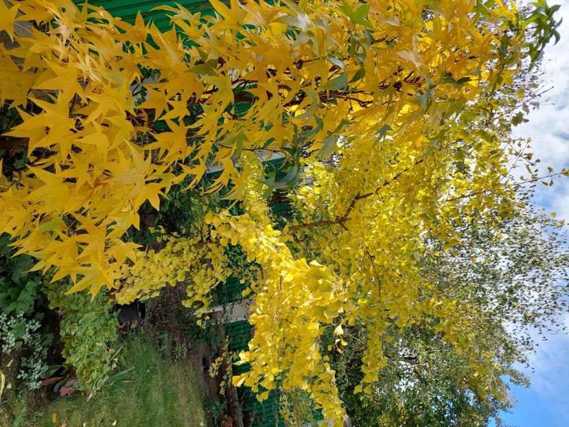  - 2024 sept oct nov dec