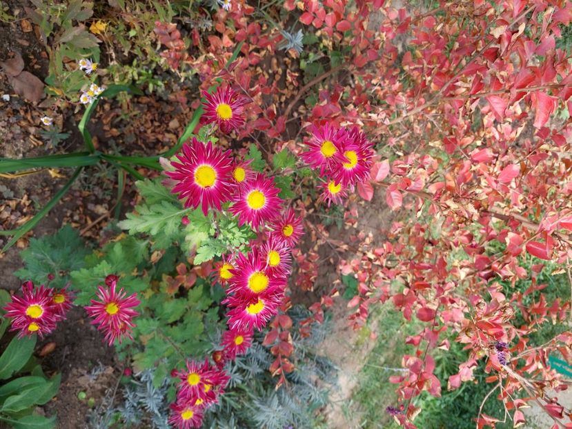  - 2024 sept oct nov dec