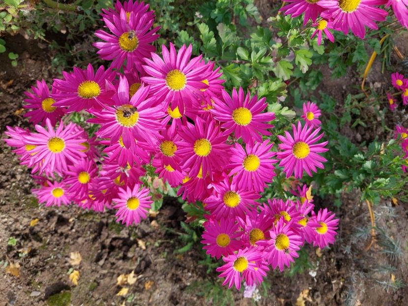  - 2024 sept oct nov dec