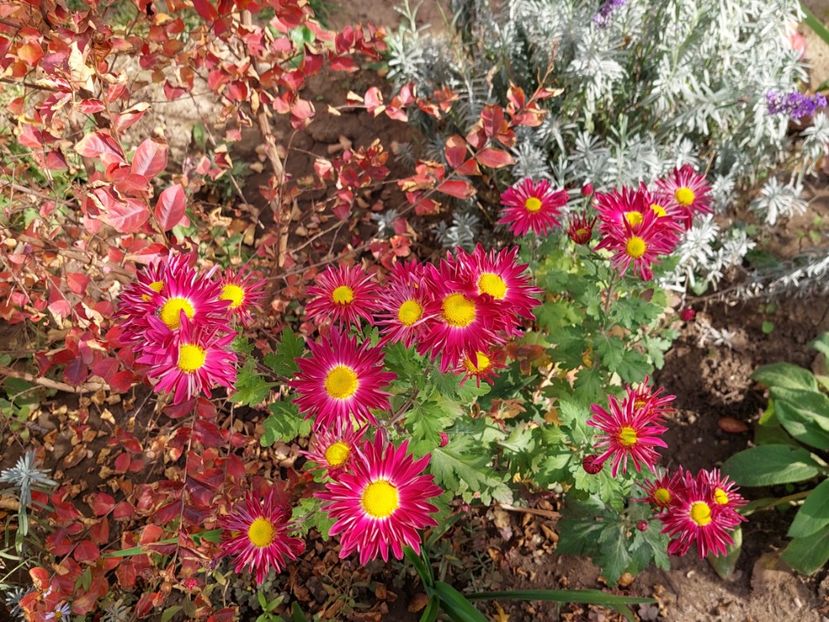  - 2024 sept oct nov dec