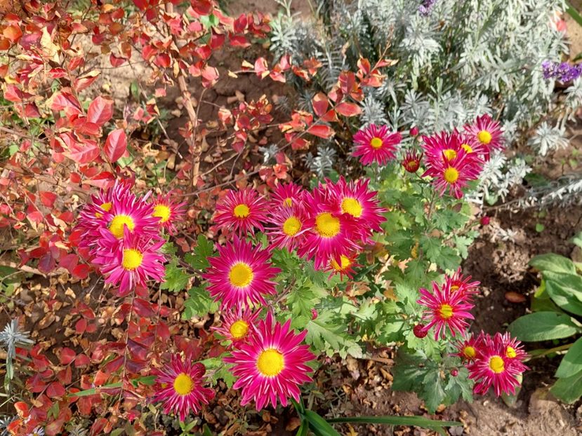  - 2024 sept oct nov dec