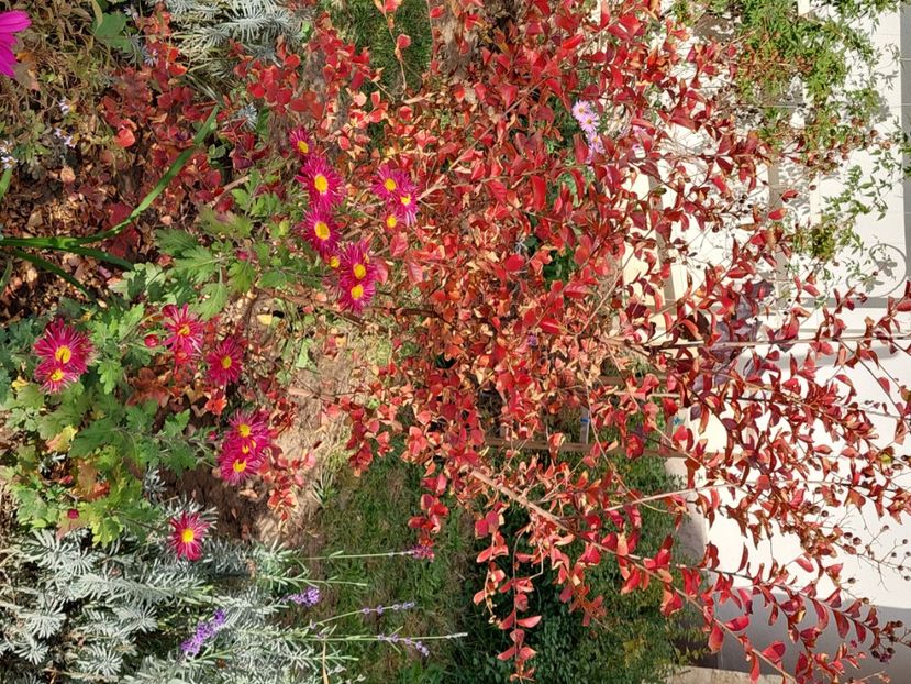  - 2024 sept oct nov dec