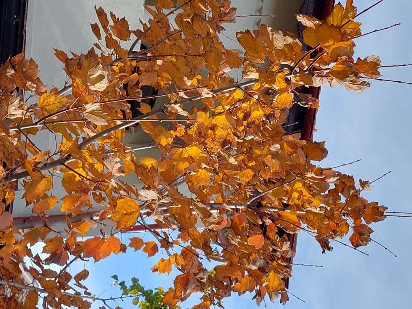  - 2024 sept oct nov dec