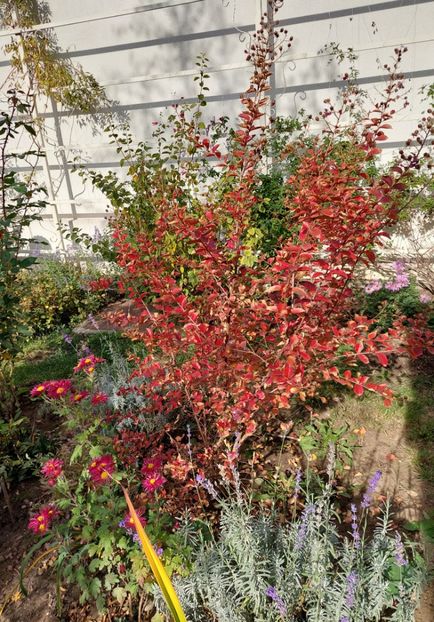  - 2024 sept oct nov dec