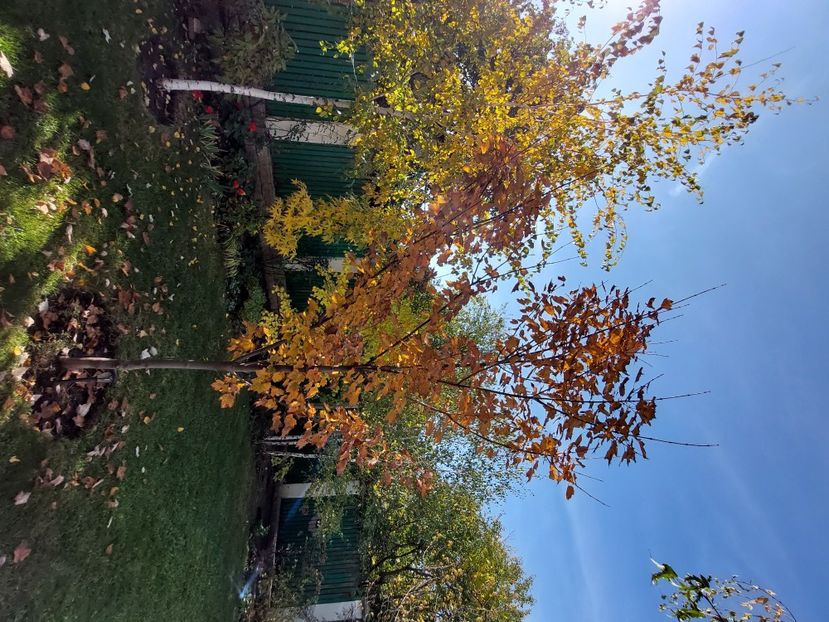  - 2024 sept oct nov dec