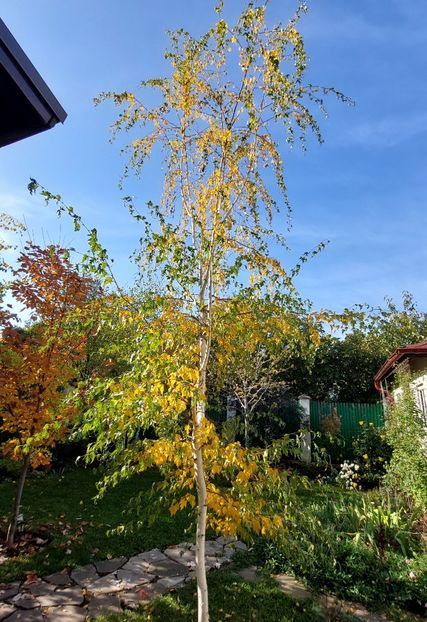  - 2024 sept oct nov dec