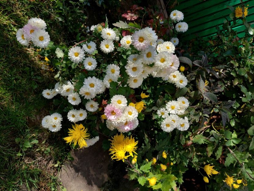  - 2024 sept oct nov dec