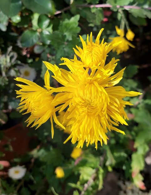  - 2024 sept oct nov dec