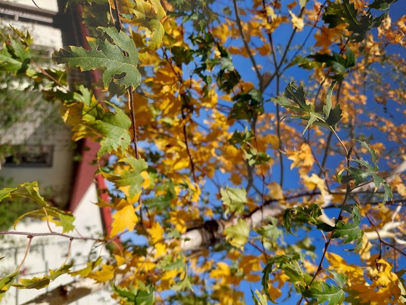  - 2024 sept oct nov dec