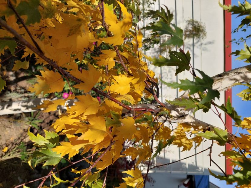  - 2024 sept oct nov dec