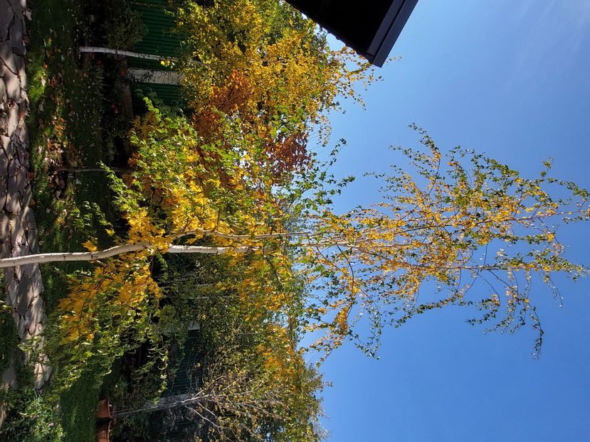  - 2024 sept oct nov dec