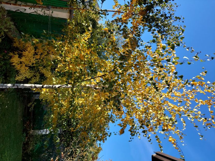  - 2024 sept oct nov dec