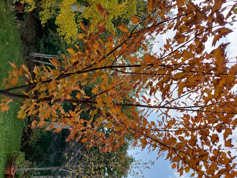  - 2024 sept oct nov dec