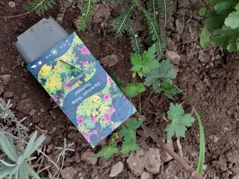  - aaa Comanda plante 2022 2023 2024