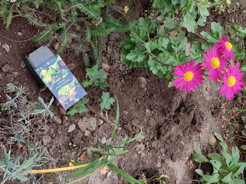  - aaa Comanda plante 2022 2023 2024