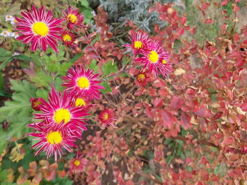  - 2024 sept oct nov dec