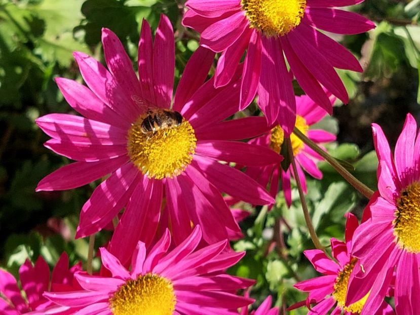  - 2024 sept oct nov dec