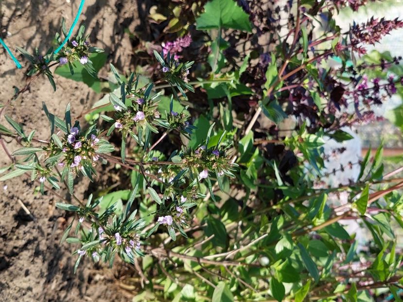  - 2024 sept oct nov dec