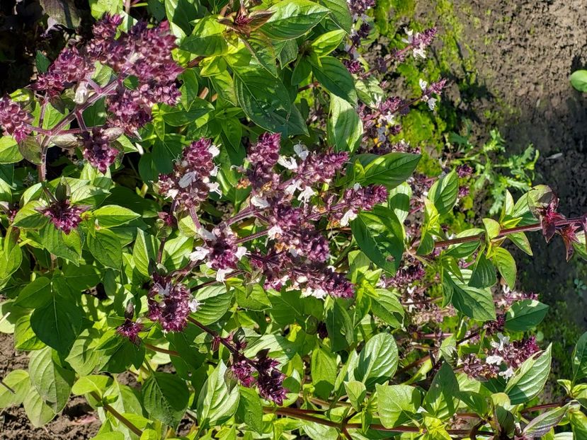  - 2024 sept oct nov dec