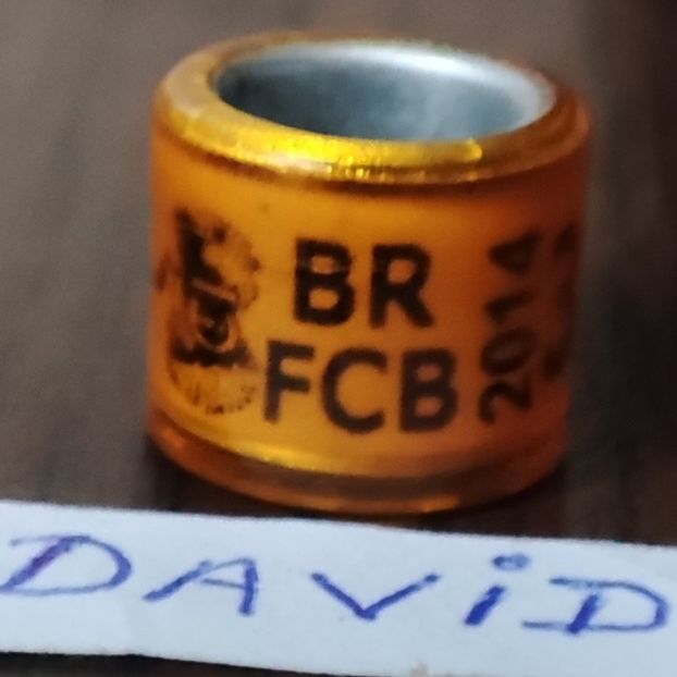 2014-Brazilia - Brazilia