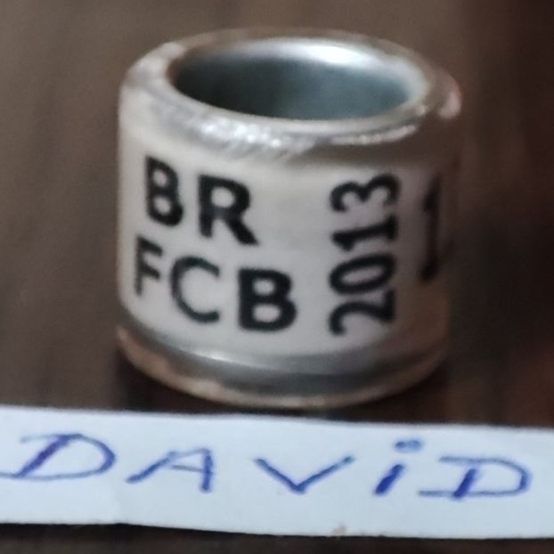 2013-Brazilia - Brazilia