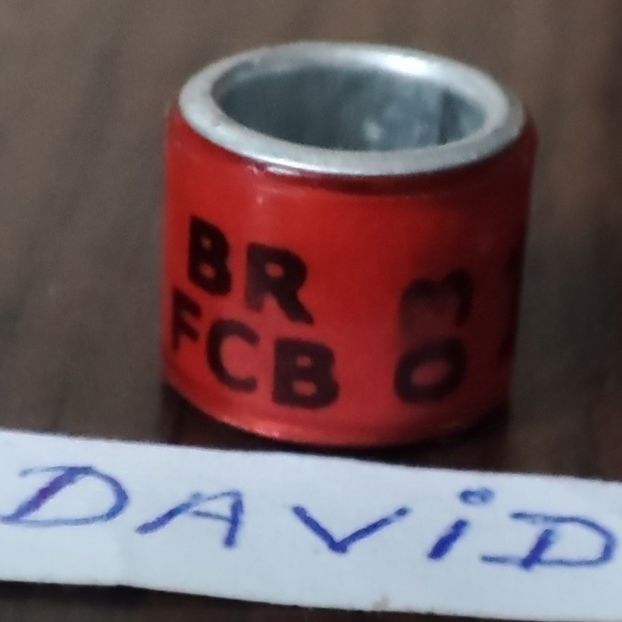 2003-Brazilia - Brazilia