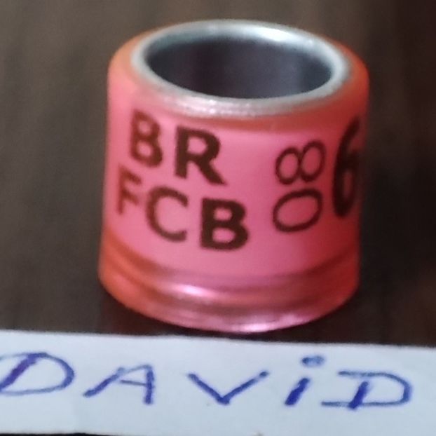 2008-Brazilia - Brazilia