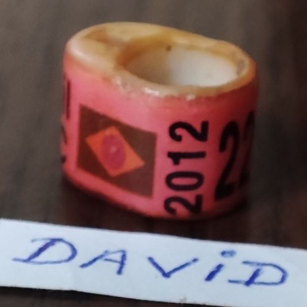 2012-Brazilia - Brazilia