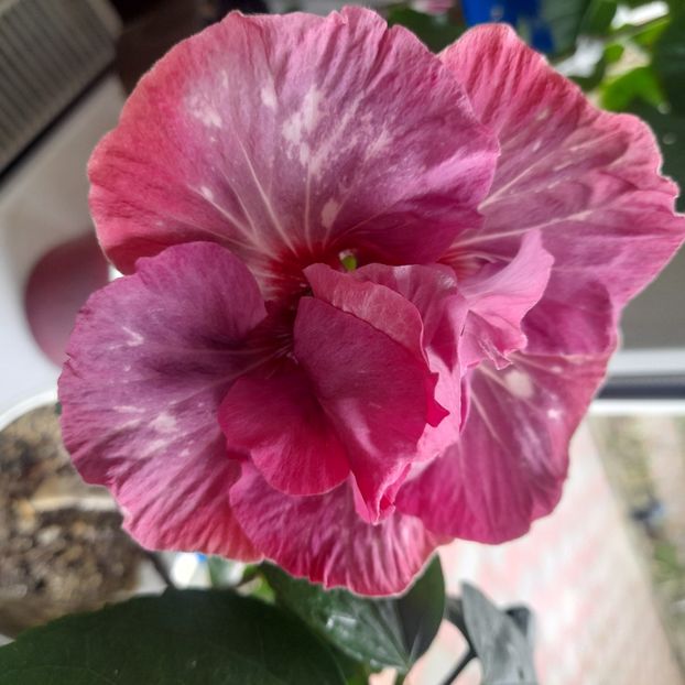  - Diamonds are forever