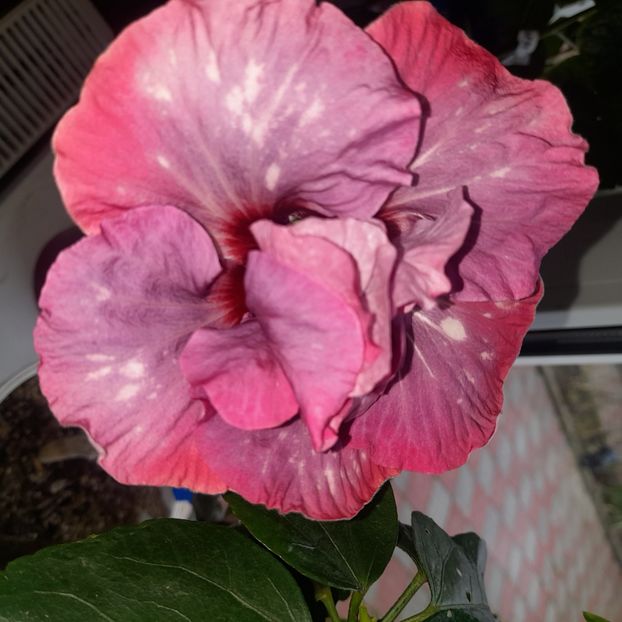  - Diamonds are forever