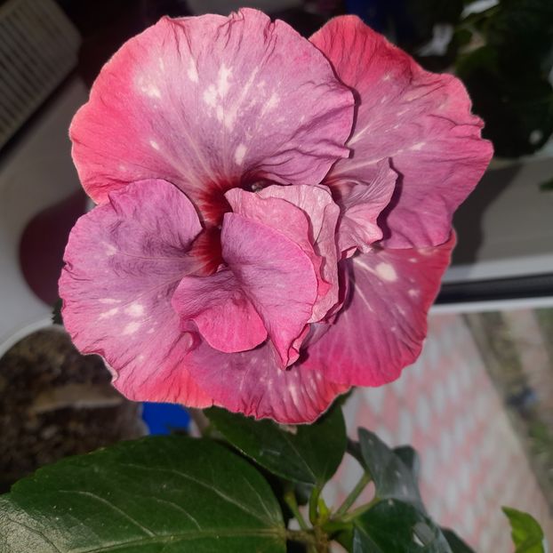  - Diamonds are forever