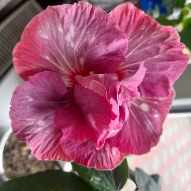  - Diamonds are forever