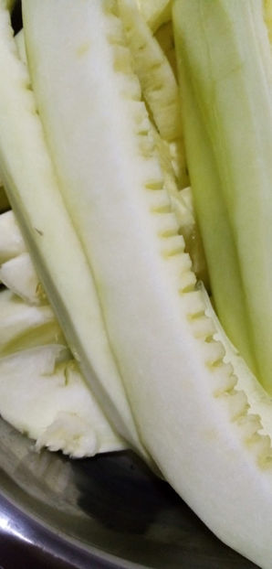 WhatsApp Image 2024-12-27 at 11.50.43(3) - -CHITRU - CURCUBITA FICIFOLIA