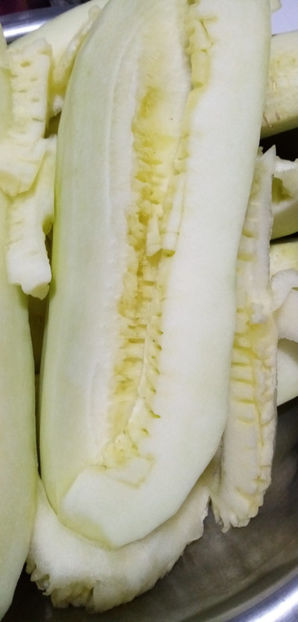 WhatsApp Image 2024-12-27 at 11.50.45(1) - -CHITRU - CURCUBITA FICIFOLIA