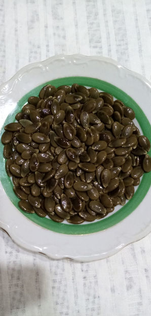 WhatsApp Image 2024-12-27 at 11.50.43(2) - -CHITRU - CURCUBITA FICIFOLIA