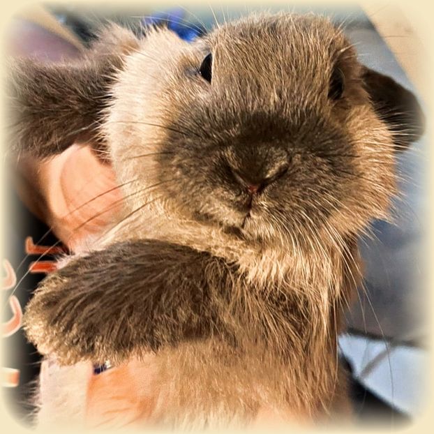 ♡ Day 80  ; 02.02.2025 - Birds of a Feather - STREAK